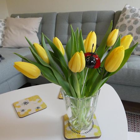 Ferienwohnung Suenteltraum Hamelin Exteriér fotografie